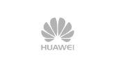 Huawei Telecom